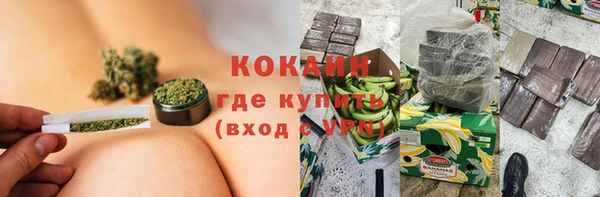 стаф Козельск