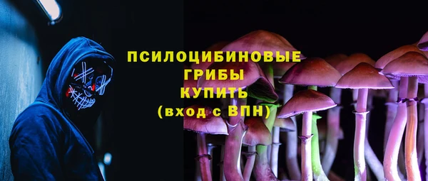 стаф Козельск