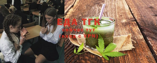 стаф Козельск