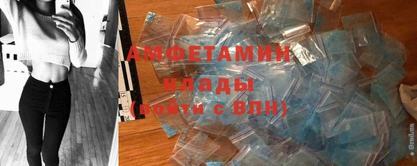 стаф Козельск