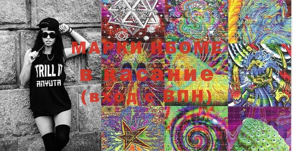 стаф Козельск